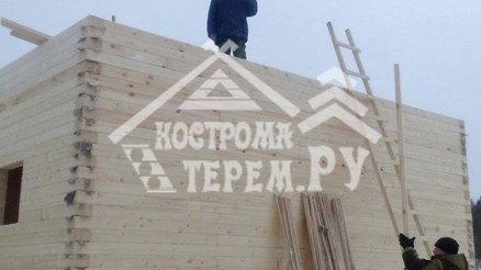 Отзыв